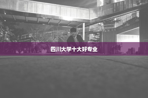 四川大学十大好专业