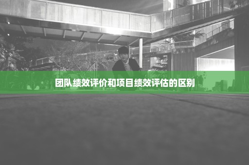 团队绩效评价和项目绩效评估的区别