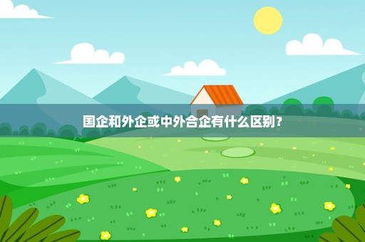 国企和外企或中外合企有什么区别？