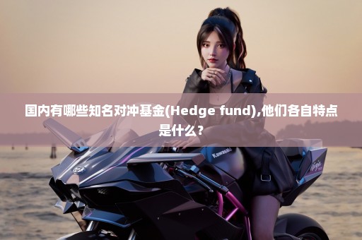 国内有哪些知名对冲基金(Hedge fund),他们各自特点是什么？