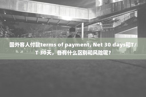 国外客人付款terms of payment, Net 30 days和T/T 30天，各有什么区别和风险呢？