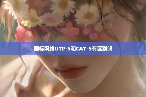 国标网线UTP-5和CAT-5有区别吗