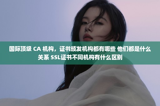 国际顶级 CA 机构，证书颁发机构都有哪些 他们都是什么关系 SSL证书不同机构有什么区别