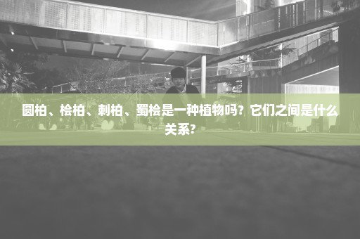 圆柏、桧柏、刺柏、蜀桧是一种植物吗？它们之间是什么关系?