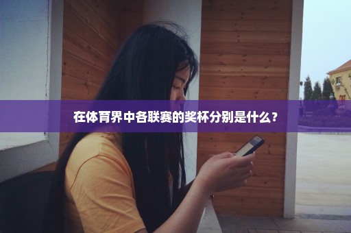 在体育界中各联赛的奖杯分别是什么？