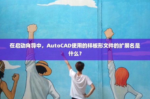 在启动向导中，AutoCAD使用的样板形文件的扩展名是什么？