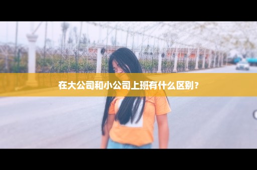 在大公司和小公司上班有什么区别？