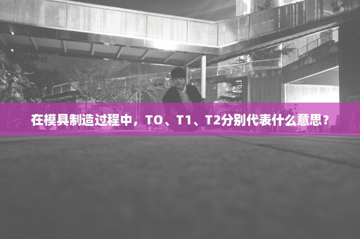 在模具制造过程中，TO、T1、T2分别代表什么意思？