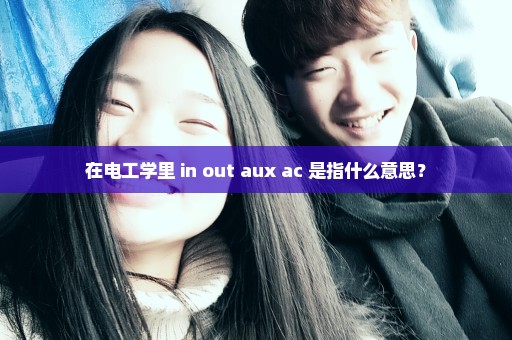 在电工学里 in out aux ac 是指什么意思？