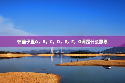 在笛子里A，B，C，D，E，F，G调是什么意思