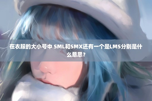 在衣服的大小号中 SML和SMX还有一个是LMS分别是什么意思？