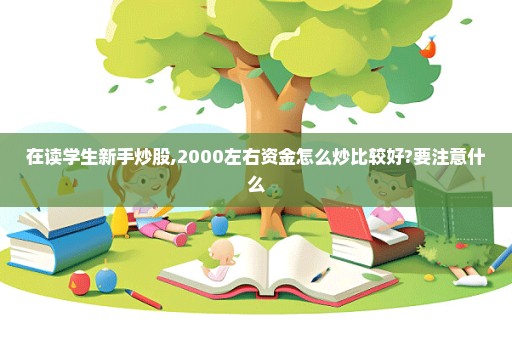 在读学生新手炒股,2000左右资金怎么炒比较好?要注意什么