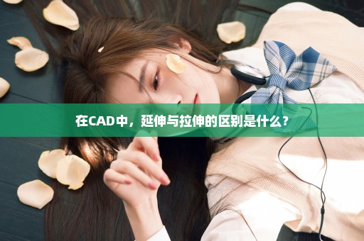 在CAD中，延伸与拉伸的区别是什么？