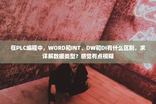 在PLC编程中，WORD和INT、DW和DI有什么区别，求详解数据类型？感觉有点模糊