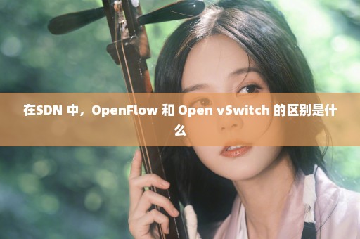 在SDN 中，OpenFlow 和 Open vSwitch 的区别是什么