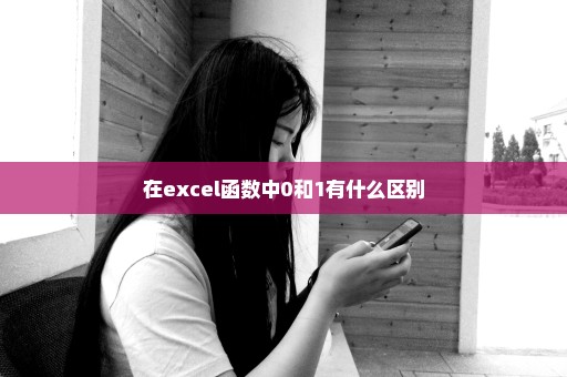 在excel函数中0和1有什么区别