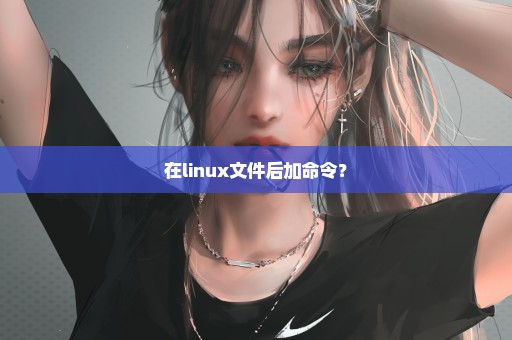 在linux文件后加命令？