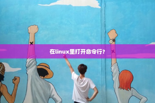 在linux里打开命令行？