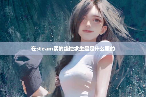 在steam买的绝地求生是是什么服的