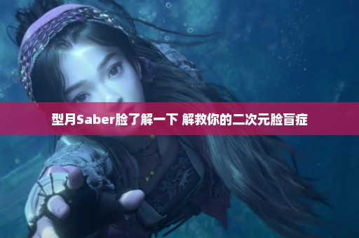 型月Saber脸了解一下 解救你的二次元脸盲症