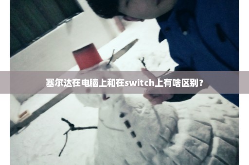 塞尔达在电脑上和在switch上有啥区别？