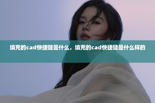 填充的cad快捷键是什么，填充的cad快捷键是什么样的 