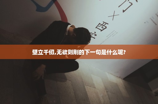 壁立千仞,无欲则刚的下一句是什么呢?