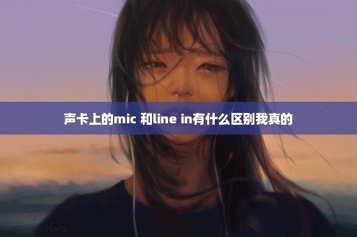 声卡上的mic 和line in有什么区别我真的