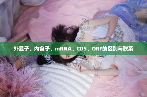 外显子、内含子、mRNA、CDS、ORF的区别与联系