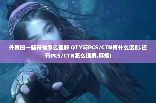 外贸的一些符号怎么理解 QTY与PCS/CTN有什么区别.还有PCS/CTN怎么理解.麻烦!