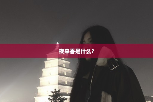 夜来香是什么？