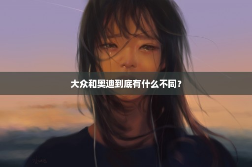 大众和奥迪到底有什么不同？