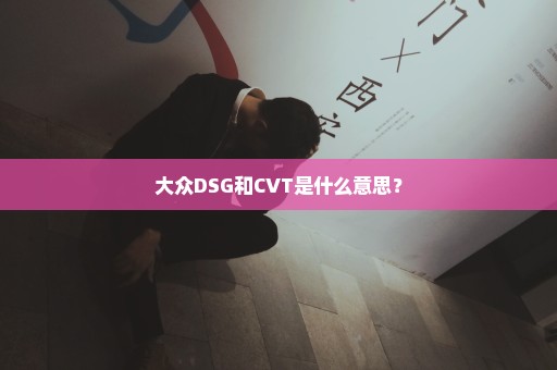 大众DSG和CVT是什么意思？