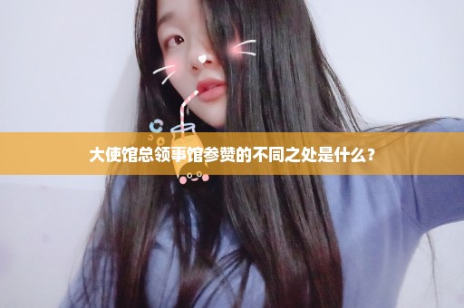 大使馆总领事馆参赞的不同之处是什么？