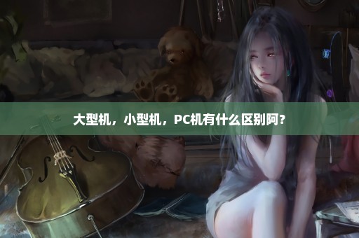 大型机，小型机，PC机有什么区别阿？