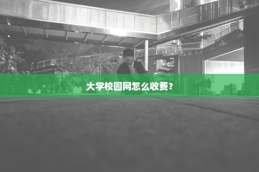 大学校园网怎么收费？