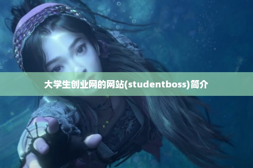 大学生创业网的网站(studentboss)简介