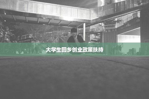 大学生回乡创业政策扶持