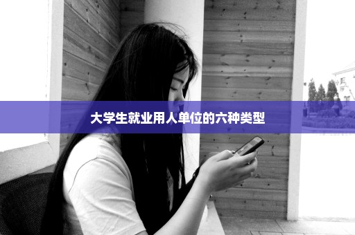 大学生就业用人单位的六种类型