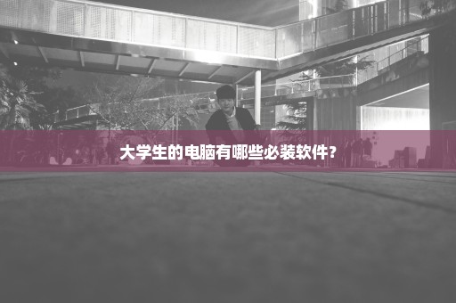 大学生的电脑有哪些必装软件？