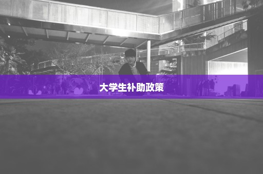 大学生补助政策