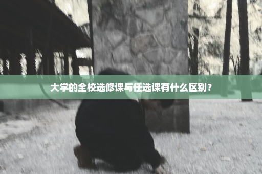 大学的全校选修课与任选课有什么区别？