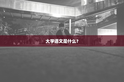 大学语文是什么？