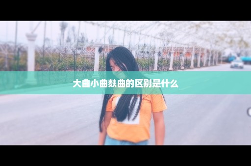 大曲小曲麸曲的区别是什么