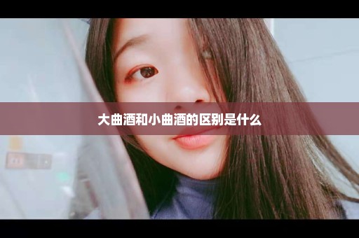 大曲酒和小曲酒的区别是什么