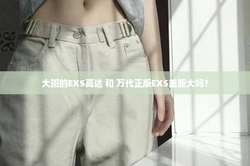 大班的EXS高达 和 万代正版EXS差距大吗？