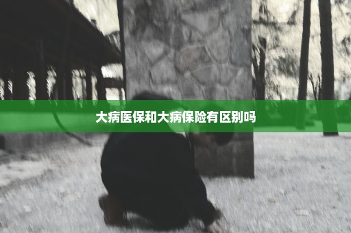 大病医保和大病保险有区别吗