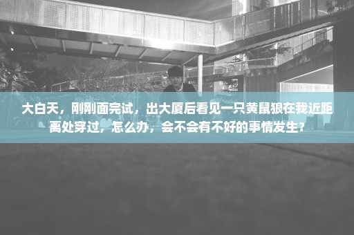 大白天，刚刚面完试，出大厦后看见一只黄鼠狼在我近距离处穿过，怎么办，会不会有不好的事情发生？