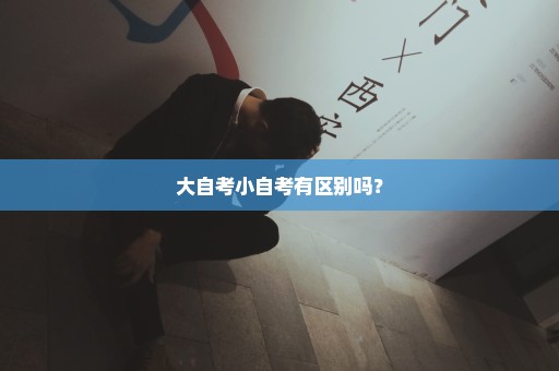 大自考小自考有区别吗？