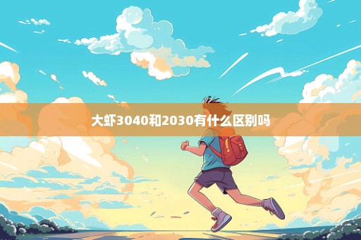 大虾3040和2030有什么区别吗